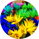 Yoly profile picture